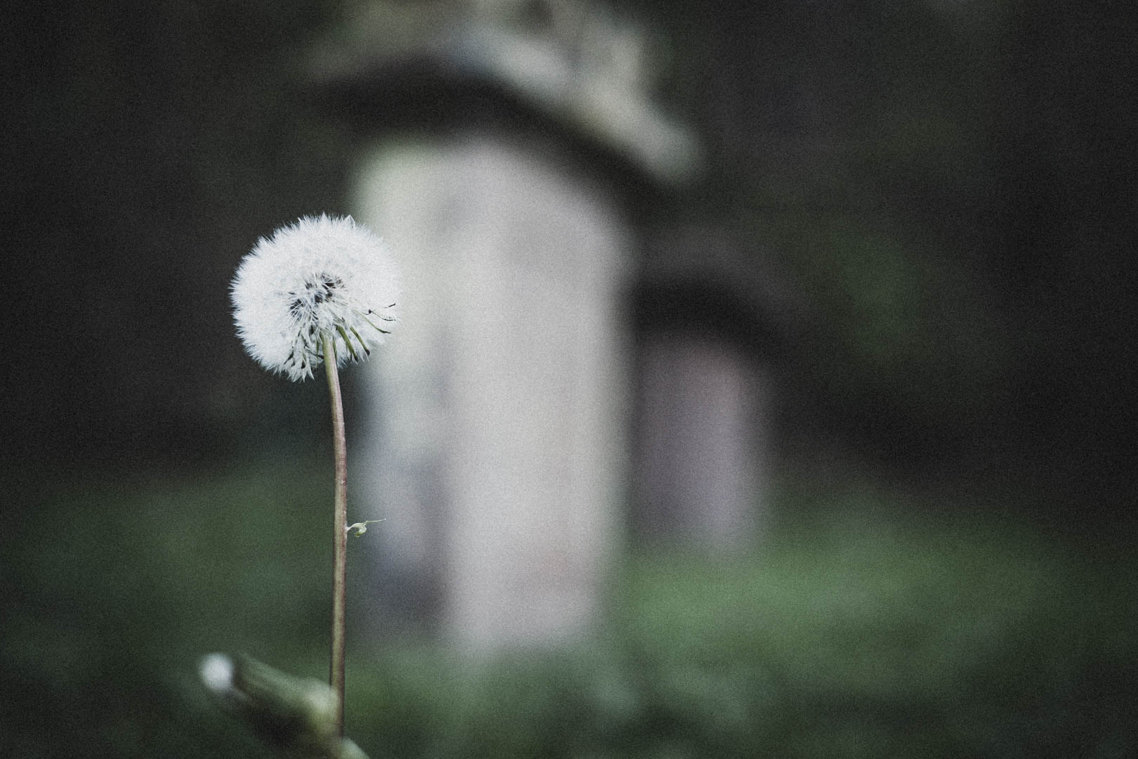 Waldeck, Jüdischer Friedhof